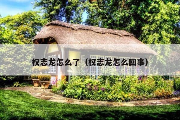权志龙怎么了（权志龙怎么回事） 第1张