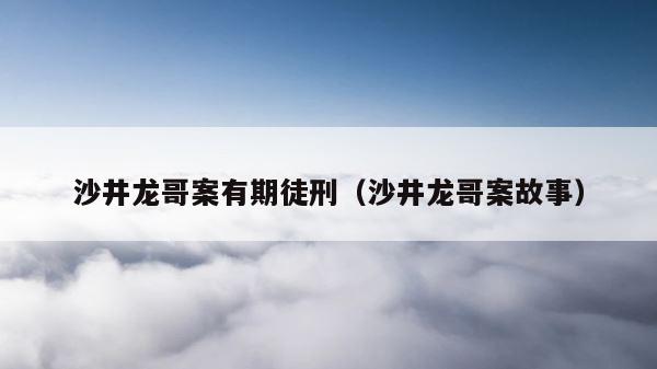 沙井龙哥案有期徒刑（沙井龙哥案故事） 第1张