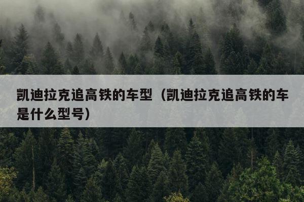 凯迪拉克追高铁的车型（凯迪拉克追高铁的车是什么型号） 第1张