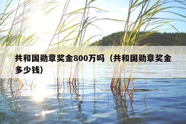 共和国勋章奖金800万吗（共和国勋章奖金多少钱） 第1张
