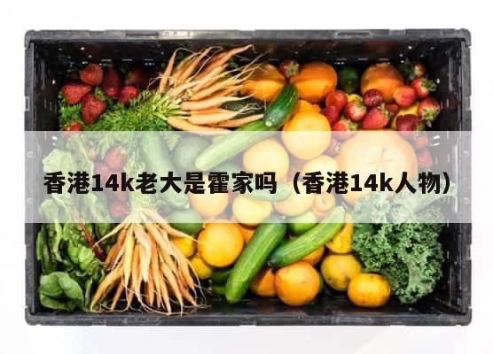 香港14k老大是霍家吗（香港14k人物） 第1张