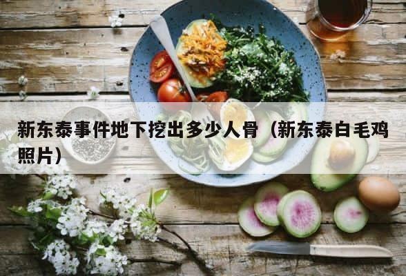 新东泰事件地下挖出多少人骨（新东泰白毛鸡照片） 第1张