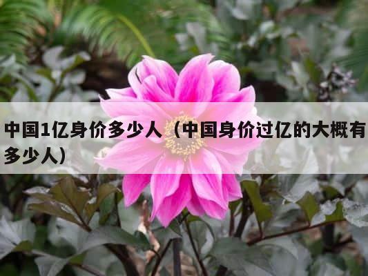 中国1亿身价多少人（中国身价过亿的大概有多少人） 第1张