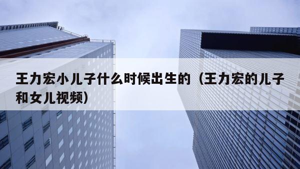王力宏小儿子什么时候出生的（王力宏的儿子和女儿视频） 第1张