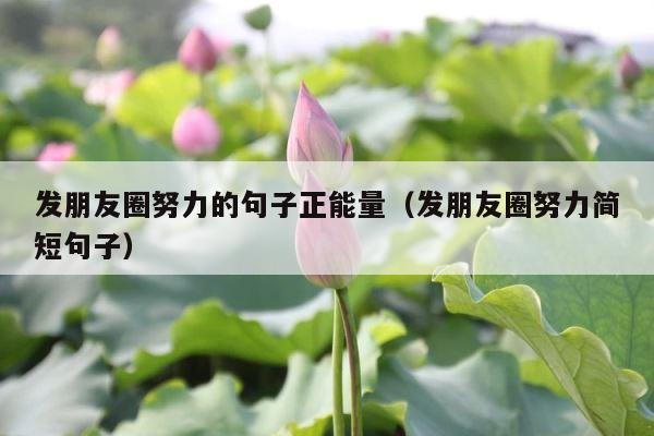 发朋友圈努力的句子正能量（发朋友圈努力简短句子） 第1张
