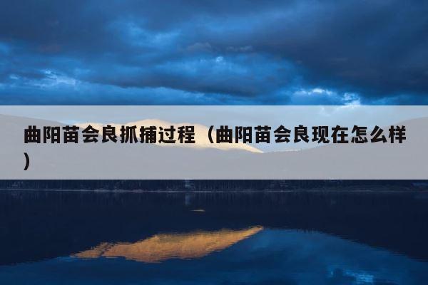 曲阳苗会良抓捕过程（曲阳苗会良现在怎么样） 第1张