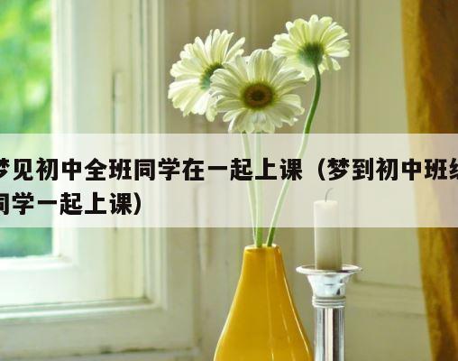 梦见初中全班同学在一起上课（梦到初中班级同学一起上课） 第1张