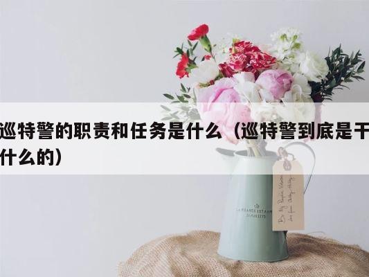 巡特警的职责和任务是什么（巡特警到底是干什么的） 第1张