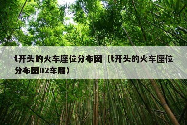 t开头的火车座位分布图（t开头的火车座位分布图02车厢） 第1张