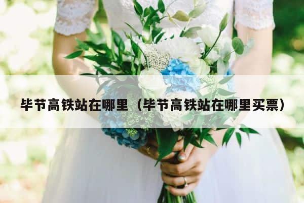 毕节高铁站在哪里（毕节高铁站在哪里买票） 第1张