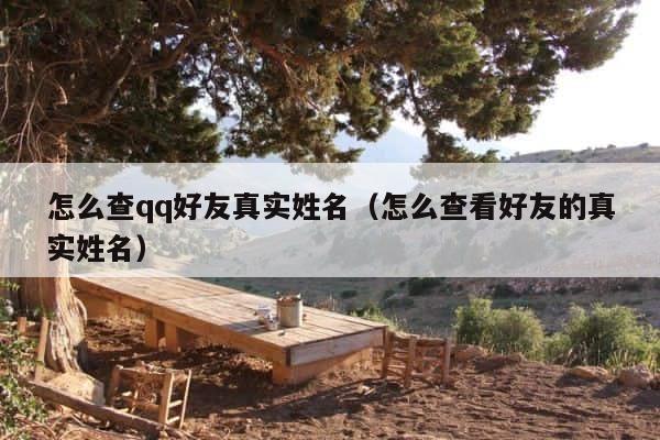 怎么查qq好友真实姓名（怎么查看好友的真实姓名） 第1张