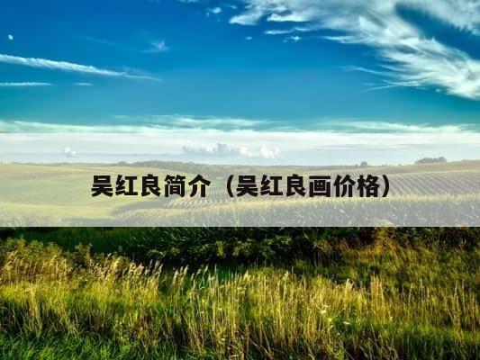 吴红良简介（吴红良画价格） 第1张
