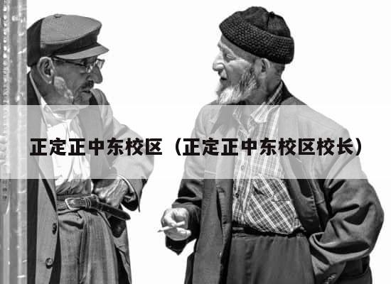 正定正中东校区（正定正中东校区校长） 第1张