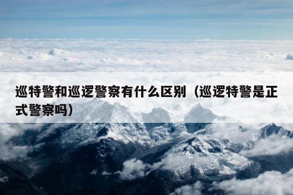 巡特警和巡逻警察有什么区别（巡逻特警是正式警察吗） 第1张