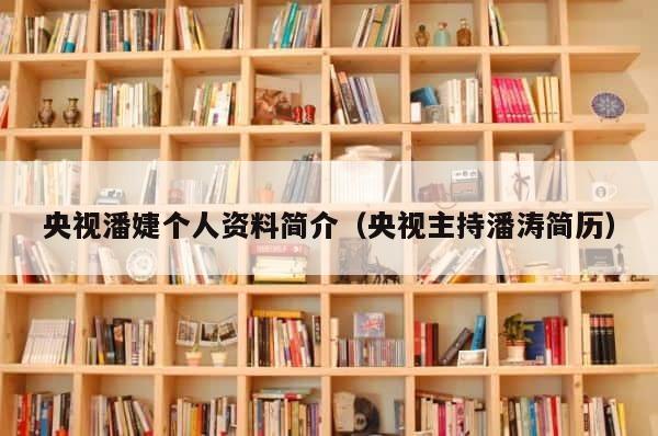 央视潘婕个人资料简介（央视主持潘涛简历） 第1张