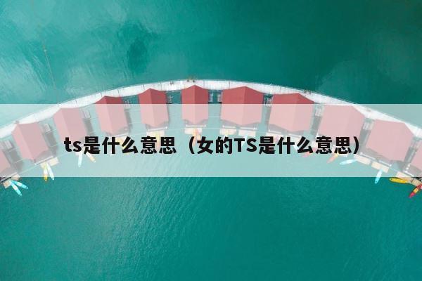 ts是什么意思（女的TS是什么意思） 第1张