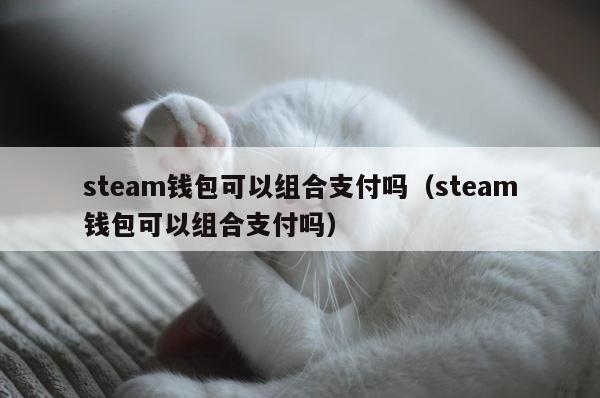 steam钱包可以组合支付吗（steam钱包可以组合支付吗） 第1张