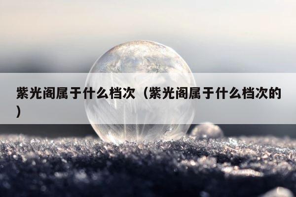 紫光阁属于什么档次（紫光阁属于什么档次的） 第1张