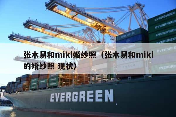 张木易和miki婚纱照（张木易和miki的婚纱照 现状） 第1张
