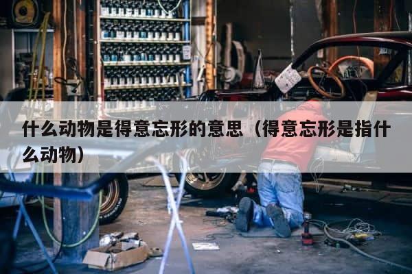 什么动物是得意忘形的意思（得意忘形是指什么动物） 第1张