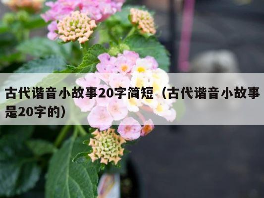 古代谐音小故事20字简短（古代谐音小故事是20字的） 第1张