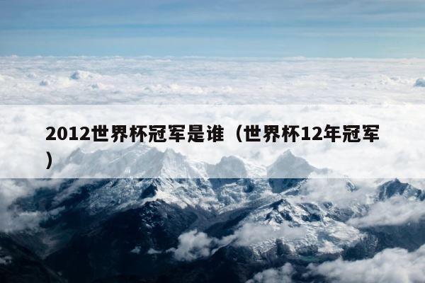 2012世界杯冠军是谁（世界杯12年冠军） 第1张