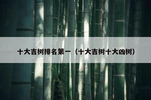 十大吉树排名第一（十大吉树十大凶树） 第1张