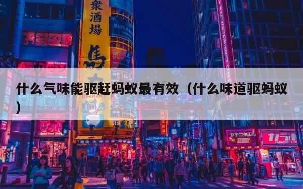 什么气味能驱赶蚂蚁最有效（什么味道驱蚂蚁） 第1张