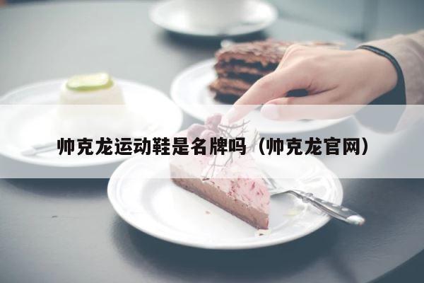 帅克龙运动鞋是名牌吗（帅克龙官网） 第1张