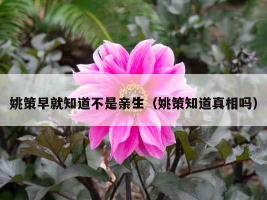 姚策早就知道不是亲生（姚策知道真相吗） 第1张