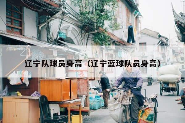 辽宁队球员身高（辽宁蓝球队员身高） 第1张