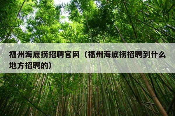 福州海底捞招聘官网（福州海底捞招聘到什么地方招聘的） 第1张