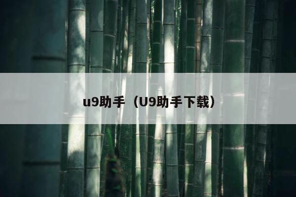 u9助手（U9助手下载） 第1张