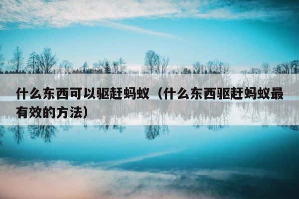 什么东西可以驱赶蚂蚁（什么东西驱赶蚂蚁最有效的方法） 第1张