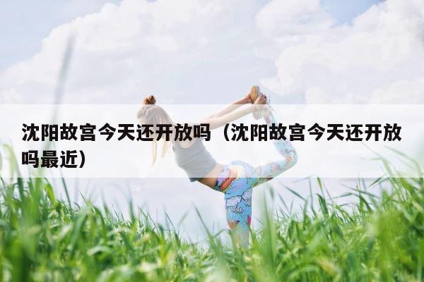 沈阳故宫今天还开放吗（沈阳故宫今天还开放吗最近） 第1张