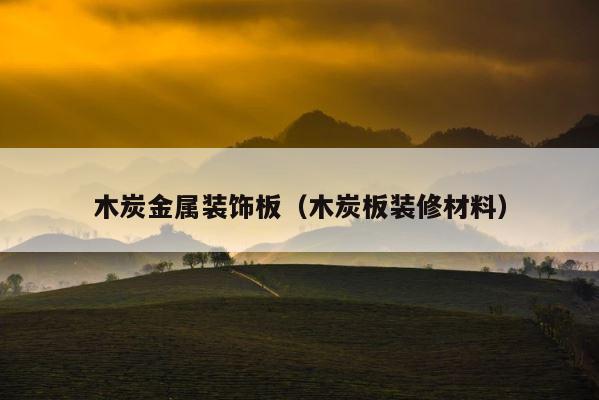 木炭金属装饰板（木炭板装修材料） 第1张