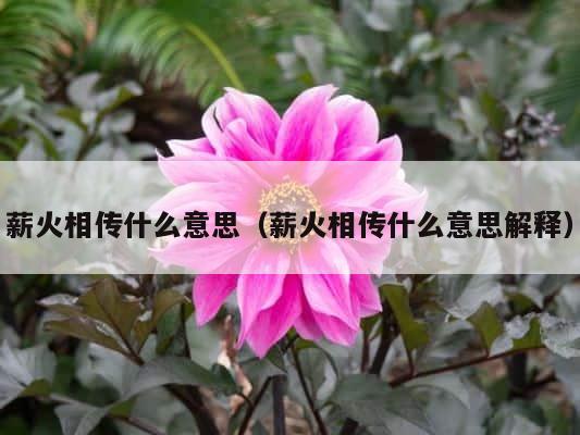 薪火相传什么意思（薪火相传什么意思解释） 第1张