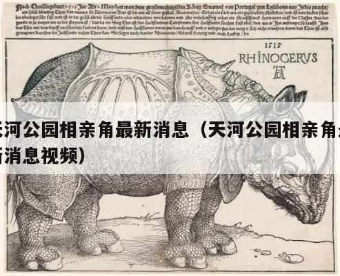 天河公园相亲角最新消息（天河公园相亲角最新消息视频） 第1张