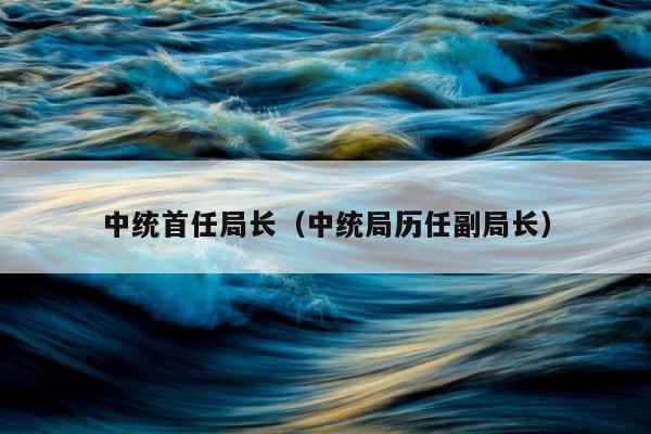 中统首任局长（中统局历任副局长） 第1张