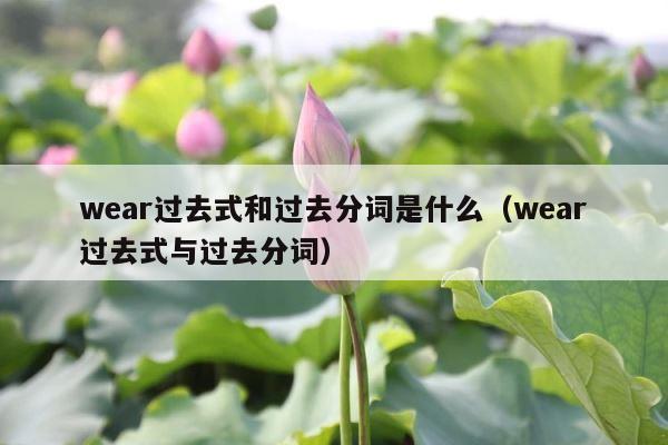 wear过去式和过去分词是什么（wear过去式与过去分词） 第1张