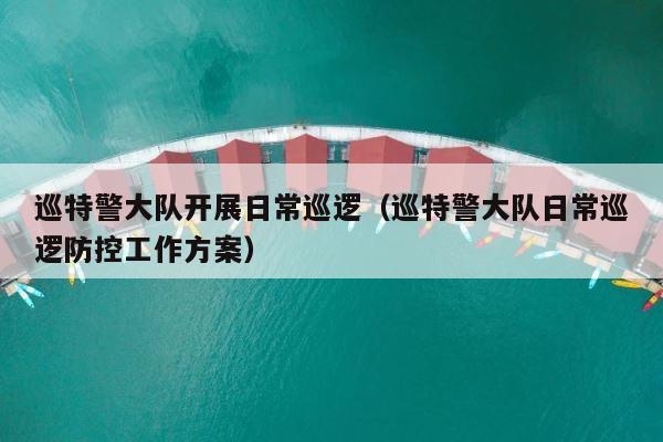 巡特警大队开展日常巡逻（巡特警大队日常巡逻防控工作方案） 第1张