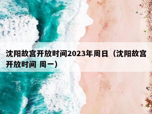沈阳故宫开放时间2023年周日（沈阳故宫开放时间 周一） 第1张