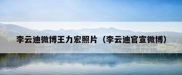 李云迪微博王力宏照片（李云迪官宣微博） 第1张