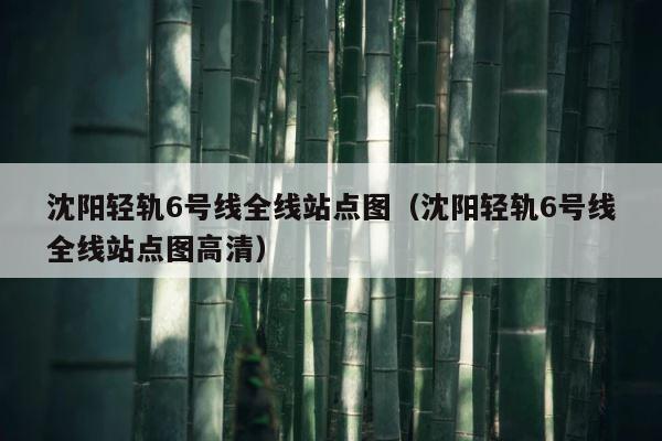 沈阳轻轨6号线全线站点图（沈阳轻轨6号线全线站点图高清） 第1张