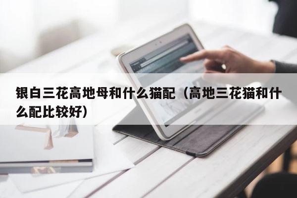 银白三花高地母和什么猫配（高地三花猫和什么配比较好） 第1张