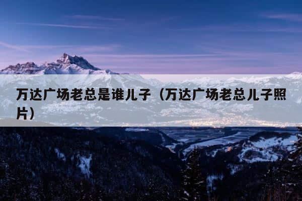 万达广场老总是谁儿子（万达广场老总儿子照片） 第1张