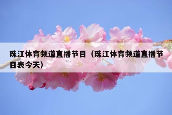 珠江体育频道直播节目（珠江体育频道直播节目表今天） 第1张
