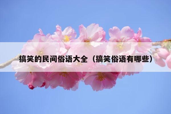 搞笑的民间俗语大全（搞笑俗语有哪些） 第1张
