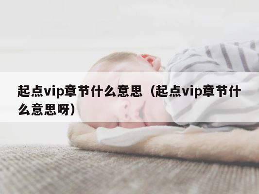 起点vip章节什么意思（起点vip章节什么意思呀） 第1张