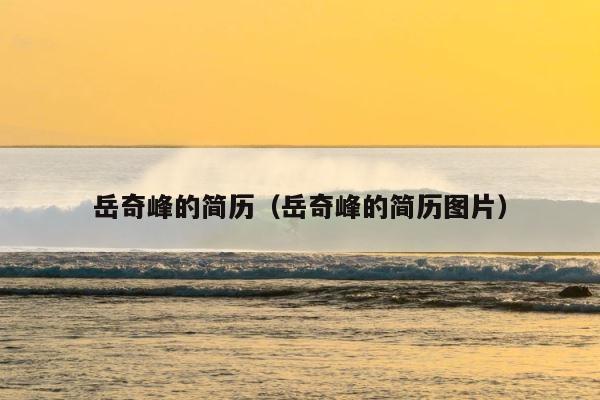岳奇峰的简历（岳奇峰的简历图片） 第1张